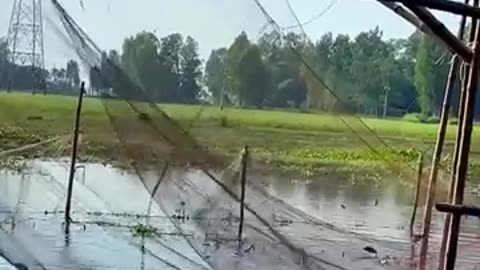 fishingvideo