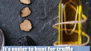 What Are Truffles and Why Are They So Expensive?