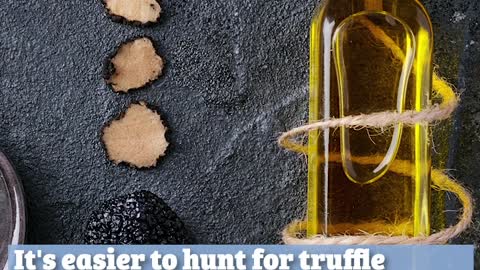 What Are Truffles and Why Are They So Expensive?