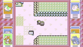 Pokémon Red-Taking On Brock