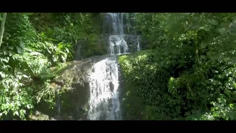 Relaxante Música ambiente com paisagem natural