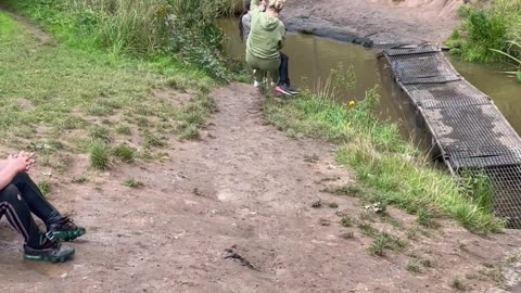 Woman Falls Into Stream While Trying to Get Off Swing