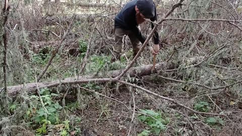 Life of a Woodsman - Log Bed Frame