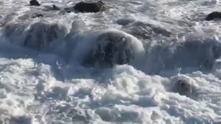 Man on rocks gets hit by waves and swept into ocean