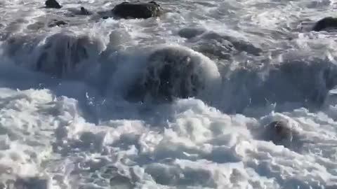 Man on rocks gets hit by waves and swept into ocean