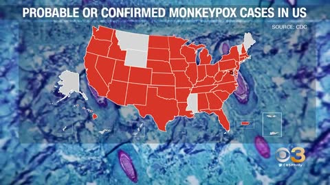 WHO Declares Monkeypox A Public Health Emergency Of International Concern