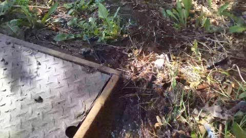 A ruptured sprinkler line now has a river flowing down the hill - Watch the water leak