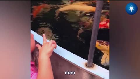 Fish scared the baby and dog