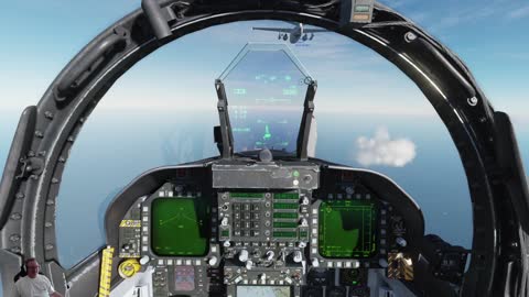 Playing in DCS with the F/A-18