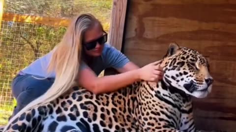 Big Cat Hugs & Kisses!