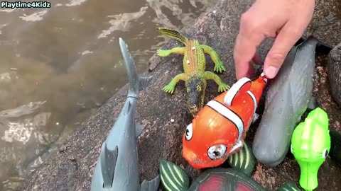 Sea animals toys this summer at the shore