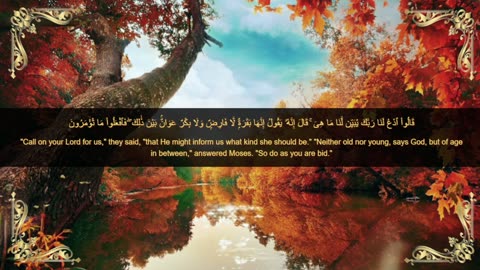 Quranic verses, مقتطفات قرانية, Beautiful Quran, Viral, تلاوة جميلة, القران الكريم, عبد الباسط ,