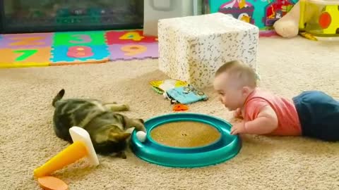 Baby VS Cat funny video_ part-5_(720HD).mp4