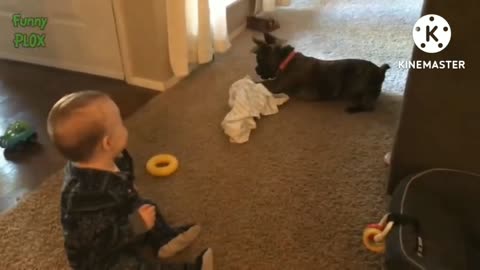 The beautiful baby and the dog are playing and laughing beautifully