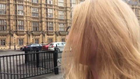 Pedophiles in Parliament