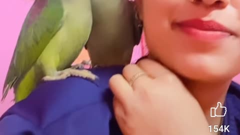 Raw Parrot Talking