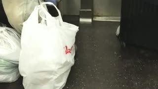 Man counting money white bags around him