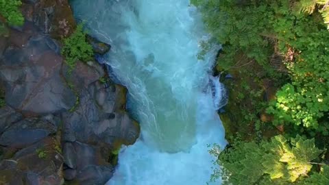 😘 💓 HERMOSO 🌊 RIACHUELO EN LA 🏞️ SELVA.👍