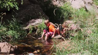 Kids playing in a mountain summer stream