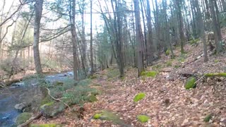 Brook Trail -Willard Brook State Forest [UpNorth]