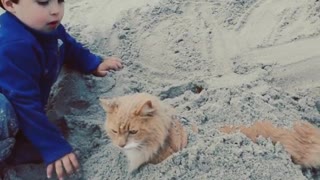 Toddler blue jacket orange cat sand