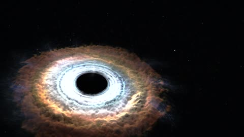 Black Hole Shreds Passing Star
