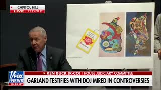 Rep. Ken Buck on Hunter Biden's art sales