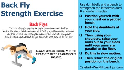 Back Fly Strength Exercise