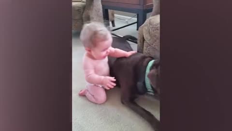 Most adorable video a little baby playing with a dog