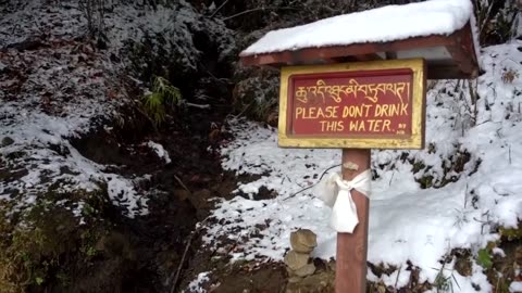 "Winter Wonderland Adventure: Hiking to Tiger's Nest Monastery!"