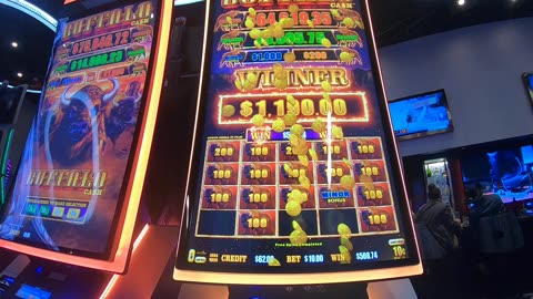 Buffalo Cash Slot Machine Play Bonuses Free Games!