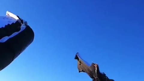 Wingsuit flight rotates in the air