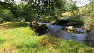 River in Devon