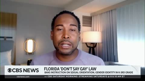 Florida's Don't Say Gay law condemned by critics