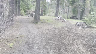 Hiking Alongside Blue Bay Campground – Suttle Lake – Central Oregon – 4K