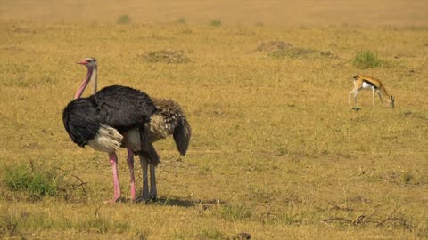 Greatest Natural Wonders Around The World 4K