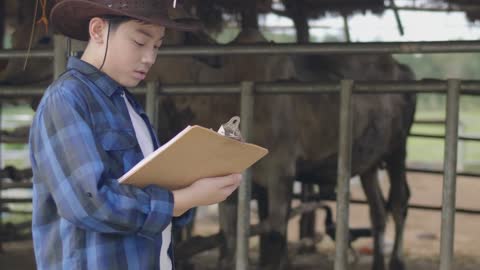 Asian boy working at farm. Teen in blue shirt working in cow farm