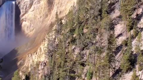 Lower Falls Yellowstone National Park