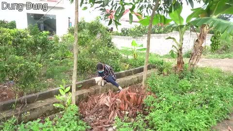 Rescue Puppy Stuck in a small drainage ditch