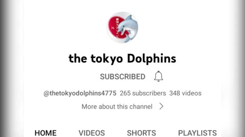 Follow the Tokyo dolphins on YouTube