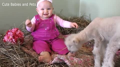 Cute Babie Playing With Animals