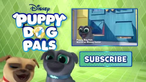 Theme Song - Puppy Dog Pals - Disney Junior