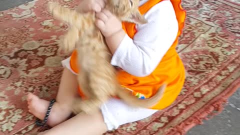 Baby and Cat Fun and Cute - Funny Baby