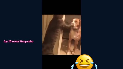 Top 10 animal funny video 😂😂😂😂😂