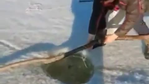 amazing ice fishing