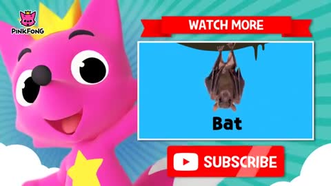 Did You Ever See My Tail - Animal Songs - PINKFONG Songs for Children