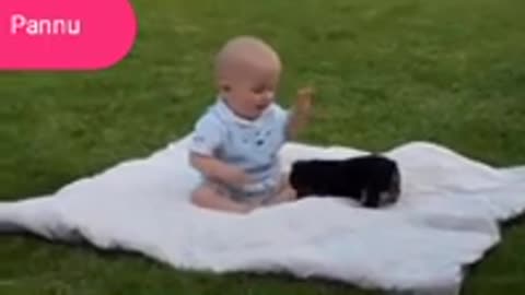 funny babies and animals video the best adorable baby and animal compilation full funny video