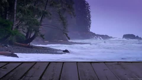 Sound of Rain and Ocean Waves with Relaxing Background Music Sleep Well