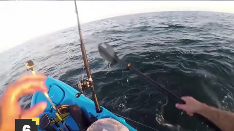 They managed to record encounters with sharks and boasted about it on the Internet.