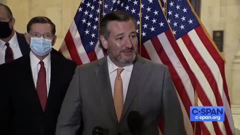 Ted Cruz Has EPIC Message To Reporter Asking Him To Wear A Mask